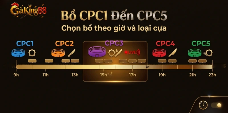 Các bồ CPC1 đến CPC5 trên lịch đá gà GAKING88 theo trường Thomo