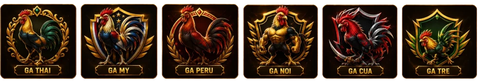 Các thể loại gà chọi trong đá gà GA KING 88 gà nòi cựa tre thái Mỹ Peru