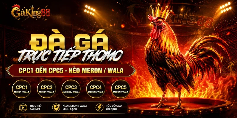 Đá gà trực tiếp Thomo CPC1 đến CPC5 tại GAKING88 kèo Meron Wala